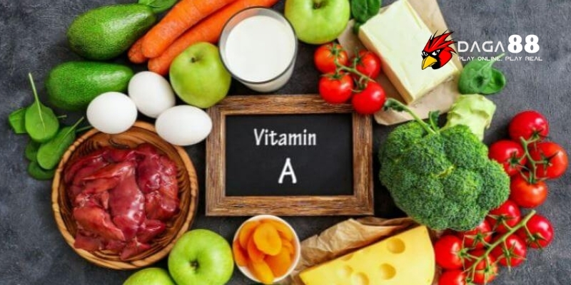 Bổ Sung Vitamin Cho Gà Chọi Giúp Sung Mãn Và Thi Đấu Đỉnh Cao Tại DAGA88 2 Dấu hiệu cho thấy gà chọi thiếu vitamin