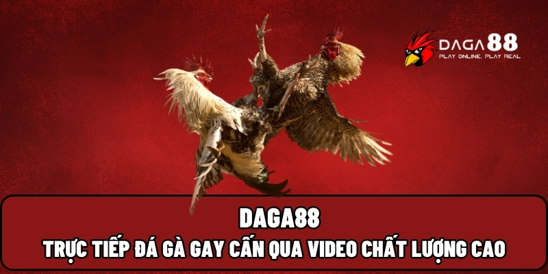 daga88 1