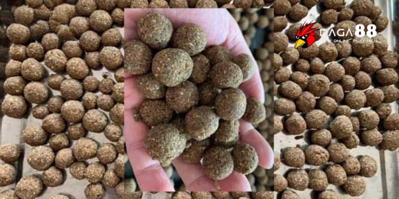 Các Loại Mồi Cho Gà Chọi Chiến Giúp Sung Mãnh Và Dễ Thắng Tại DAGA88 3 Những loại mồi khô giúp gà chọi bền sức